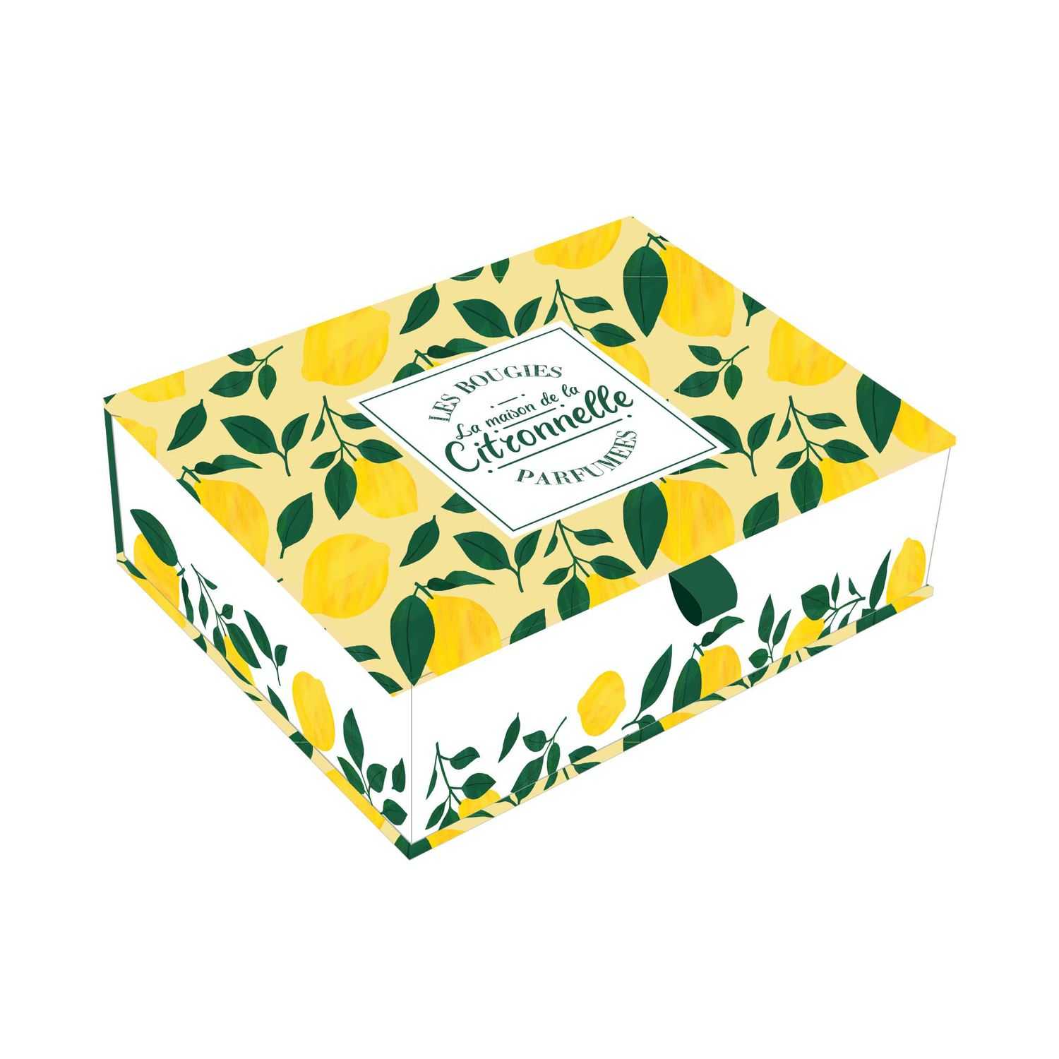 Citronella 6 kaarsjes in geschenkverpakking
